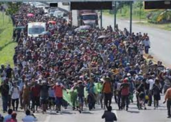 Nearly 1 Million Illegal Migrants Cross U.S. Mexico Border In 5 Months