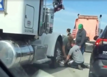 Motorcyclist Flips Off Truckers, Gets Aggressive With People’s Convoy, Truckers Hold Suspect Down
