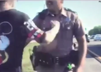 Dash Cam Video: Florida State Trooper Punched In Face