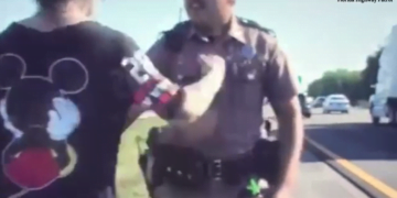 Dash Cam Video: Florida State Trooper Punched In Face