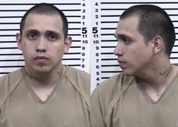 Illegal Migrant Pleads Guilty To Kidnapping, Torturing Woman