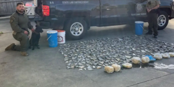 Hundreds Of Shark Fins found At Restaurant In Texas
