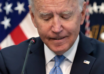 Audit finds half of Joe Biden’s Twitter followers are fake
