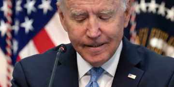Audit finds half of Joe Biden’s Twitter followers are fake