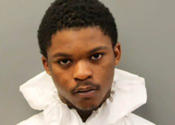 Chicago Man Arrested, Charged With Shooting Police Dog, US Marshal