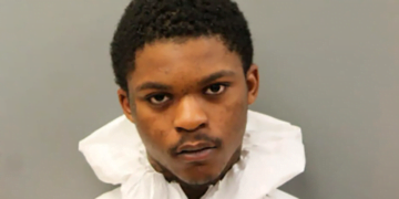 Chicago Man Arrested, Charged With Shooting Police Dog, US Marshal