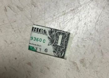 “This is a very dangerous issue!” Authorities Warn ‘Do Not Pick Up Folded Dollar Bills!
