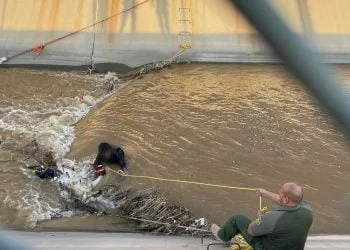 Ysleta Border Agents Risk Lives To Save Illegal Migrants Drowning In El Paso, Texas Water Canal