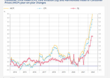 Inflation Soared To 9.1% In June, Real Wages Plummet For 15th Straight Month