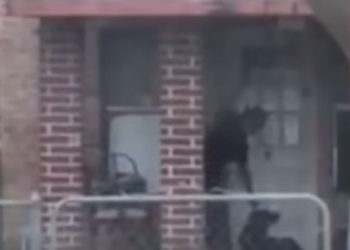 Texas Man Caught On Camera Beating His Dog Sentenced To 25-Years In Prison