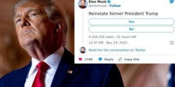 Elon Musk Twitter Poll To Reinstate Trump Has More Than 13 Million Votes