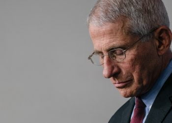 Fauci Admits That His Daughter Worked For Twitter During Campaign Against Covid ‘Misinformation’