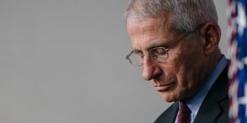 Fauci Admits That His Daughter Worked For Twitter During Campaign Against Covid ‘Misinformation’