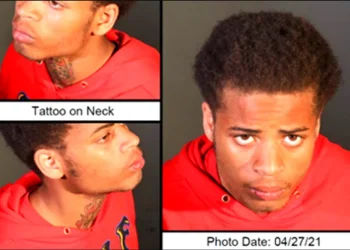 Man Who Shot Lady Gaga’s Dog Walker, Stole Frenchies Sentenced To 21 Years In Prison