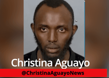 Migrant Trucker From Africa K*lls Three In Nevada After Going Wrong Way On Highway