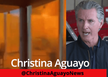 Newsom Was Openly Planning To Sell Fire Ravaged Land To Investors When The Palisades Fire Was Only 6% Contained