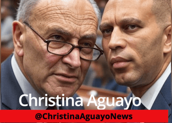 Gov. Shutdown As Schumer Demands $1 Trillion For Illegal Migrant Healthcare, Gender Surgeries For Minors