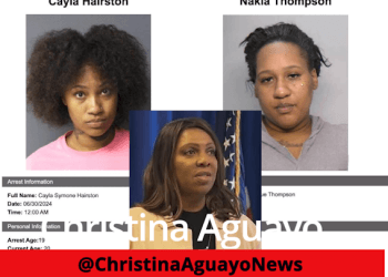 Letitia James Harboring Criminal Neice In Home Linked To Mortgage Fraud