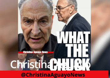 Republicans ‘Will Never’ Give In, Give Billions To Illegals, Speaker Johnson Tells Schumer