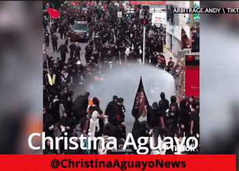 50% Of Dearborn’s Migrant Population Is In The Country Illegally