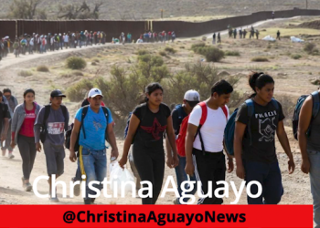 20 Million Illegal Migrants Crippling U.S, Economy, According To New Data Released