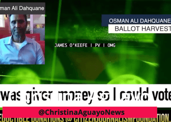 Omar Created Pay-To-Vote Operation That Paid Somalis For Their Votes, Investigation Finds