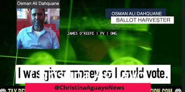 Omar Created Pay-To-Vote Operation That Paid Somalis For Their Votes, Investigation Finds