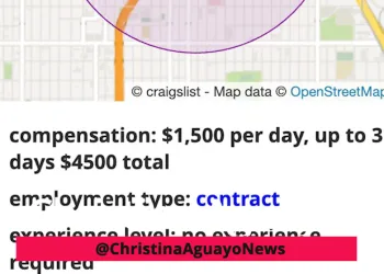 Somali Daycare Posts Craigslist Ad For Child Actors After Funding Was “Cruelly Ripped Away”