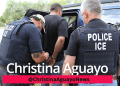 ICE Detained 22 Of 30 Illegal Migrant Workers, Warn Owner ‘We’re Coming Back For You’