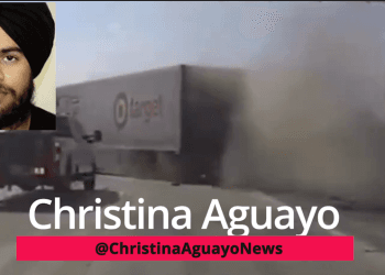 Illegal, Who K*lled 3 In Semi-Truck Crash, K*lls Again After Causing Multi-Car Pile-Up