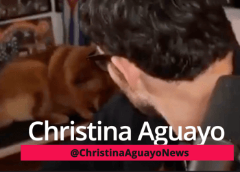 Hasan Piker Accused Of Abusing His Dog With Pronged Shock Collar On Livestream