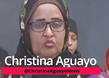 Somali Leaders Say Somali Gang Violence Is Caused By American Culture