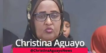 Somali Leaders Say Somali Gang Violence Is Caused By American Culture